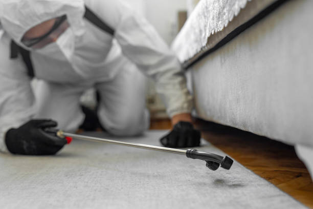 Professional Termite Control technician working in Mansfield, AR