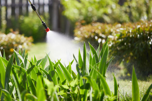 24/7 Emergency Termite Control experts in Mansfield, AR