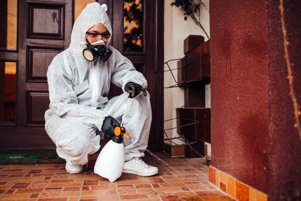 Reliable Termite Control contractor in Mansfield, AR by Nex Pest Control