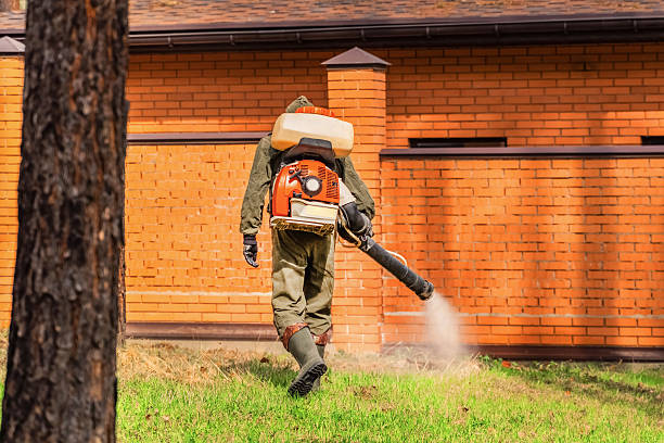 Top rated local Termite Control specialists in Mansfield, AR